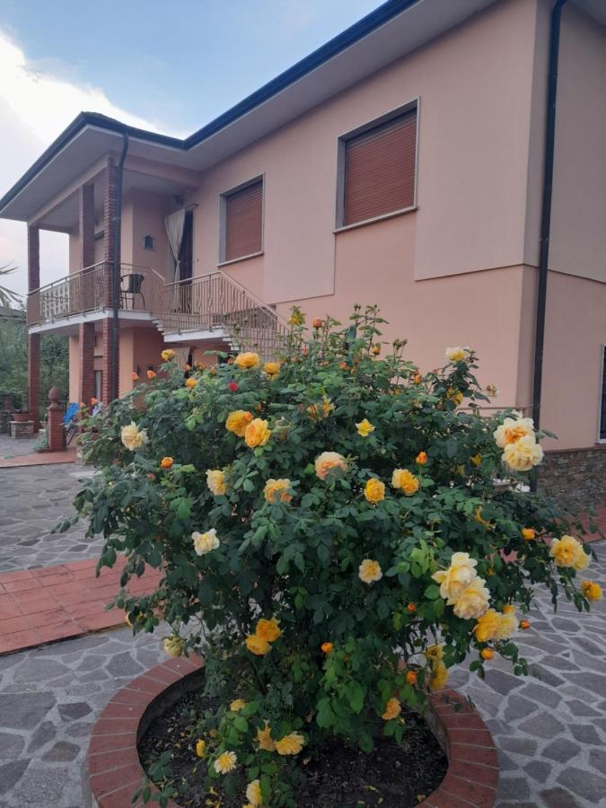 Casa Camelia Villa Capannori Exterior photo